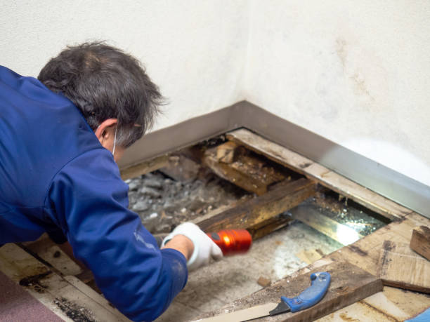 Best Office Mold Removal Services  in Hood River, OR
