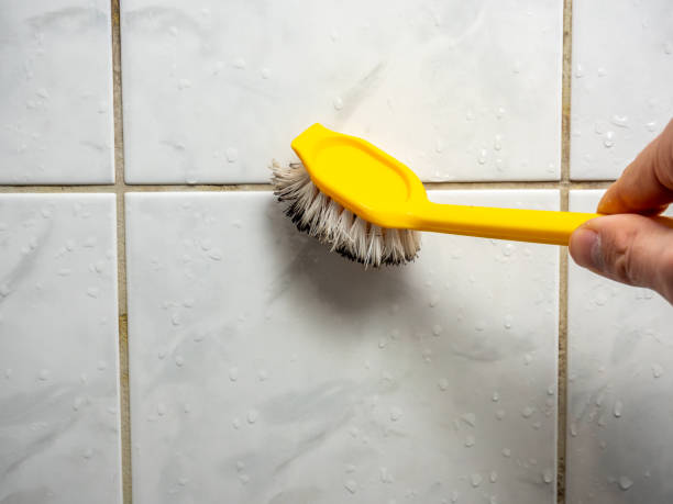 Best Same-Day Mold Removal  in Hood River, OR