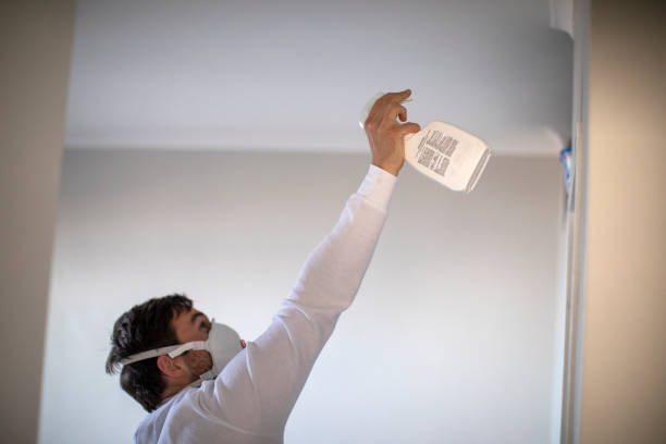 Best Residential Mold Removal  in Hood River, OR