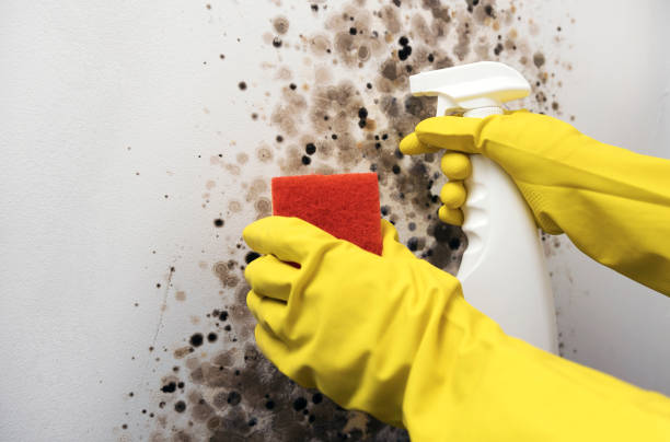 Best Mold Testing  in Hood River, OR