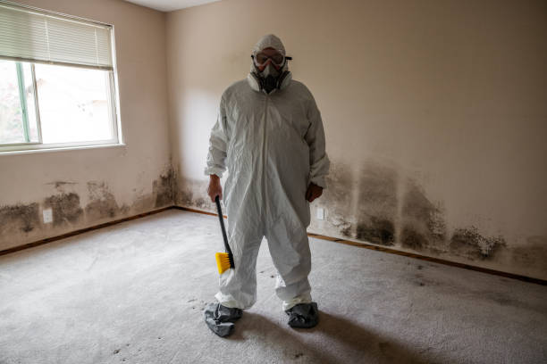 Best Office Mold Removal Services  in Hood River, OR